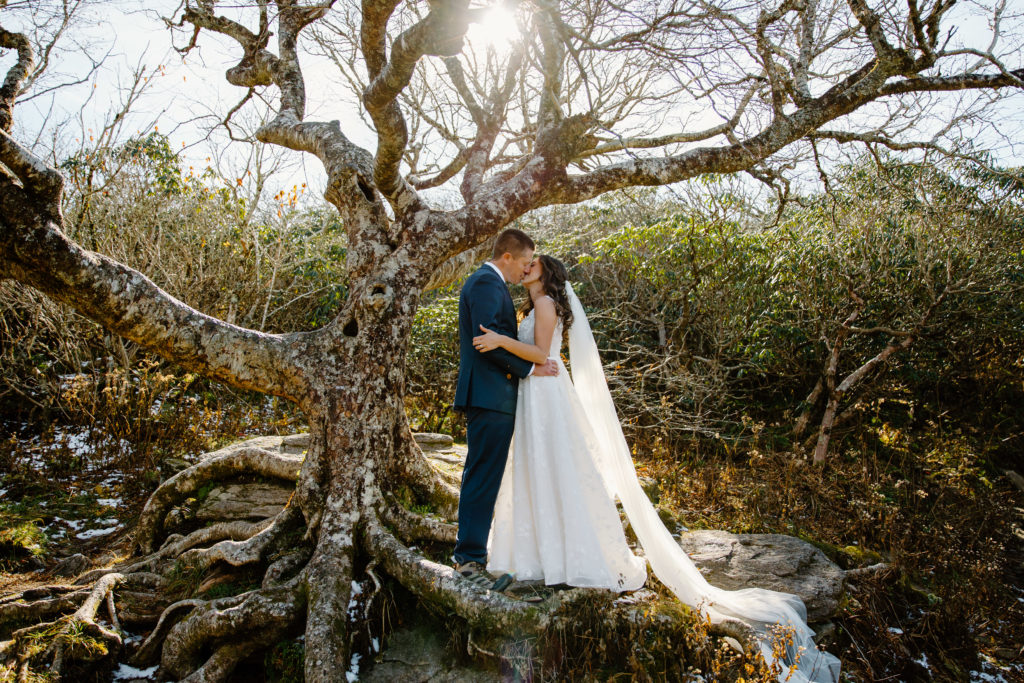 Craggy Gardens Elopement