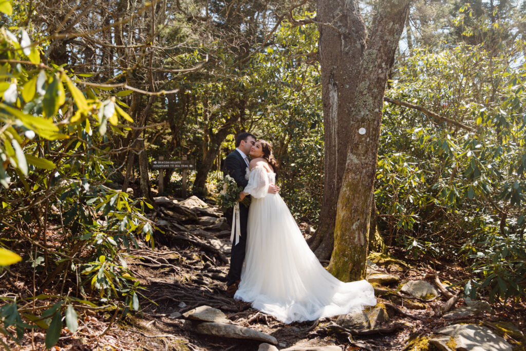 Blue Ridge Parkway Elopement