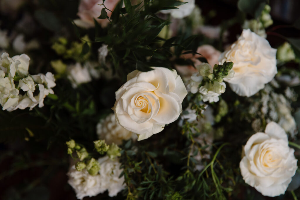 Luxury Elopement in Asheville