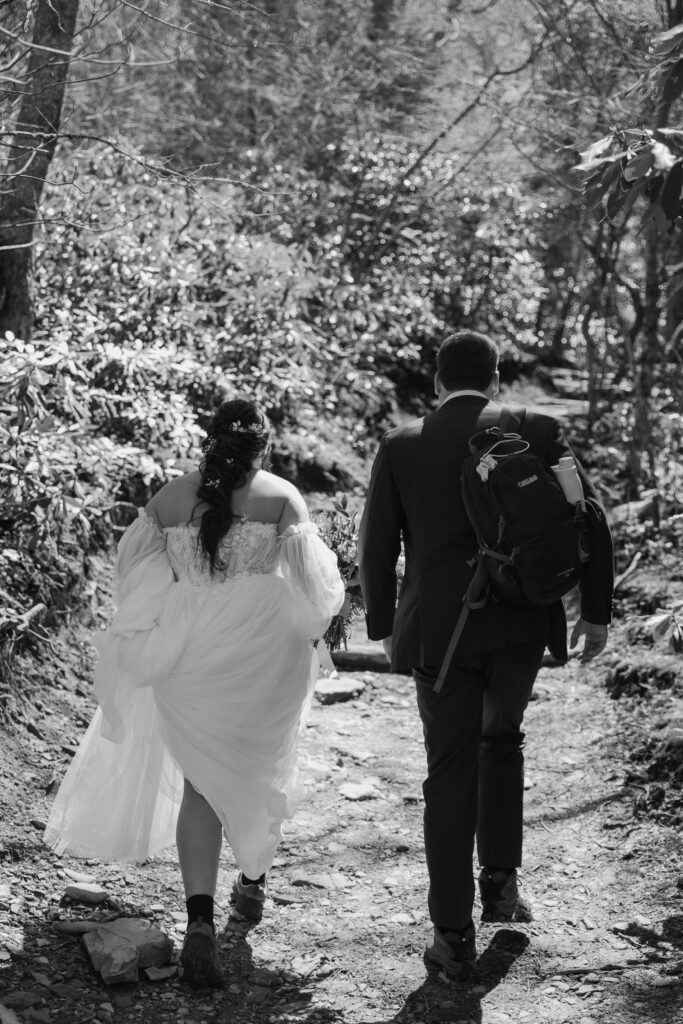 Blue Ridge Parkway Elopement