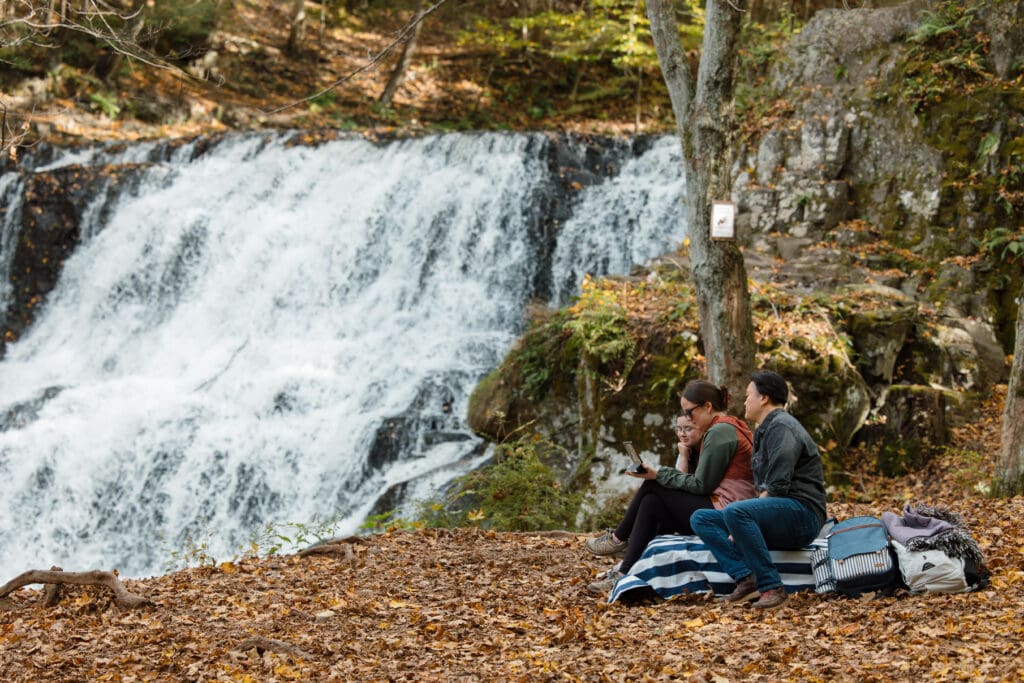 New England Waterfall Proposal Engagement