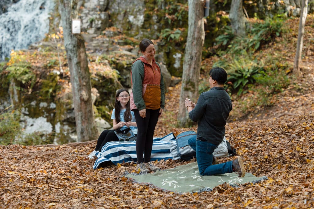 New England Waterfall Proposal Engagement