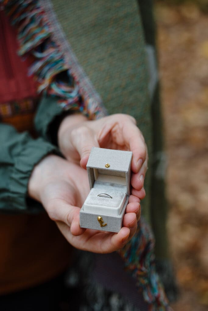 New England Waterfall Proposal Engagement