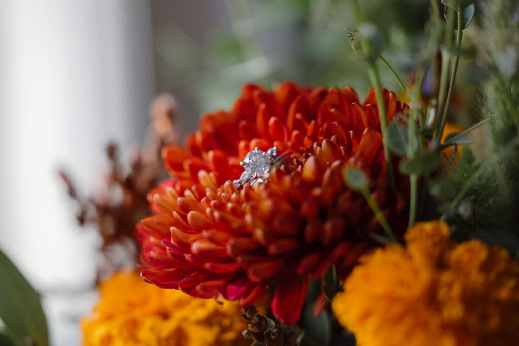 Fall Elopement Details