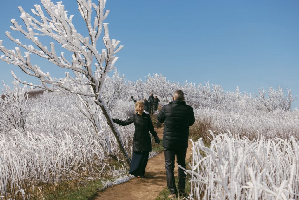 Adventure Elopement with Family