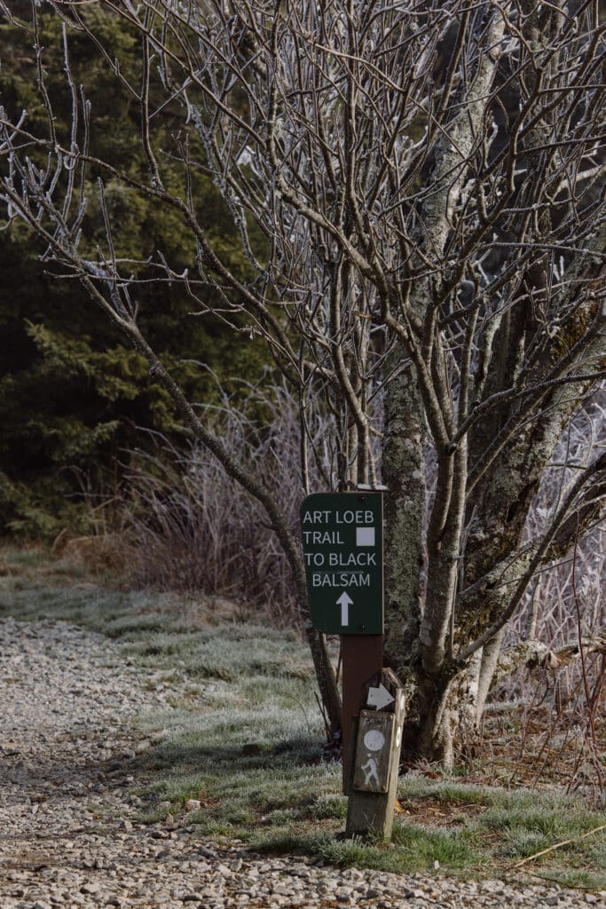 Hiking Elopement Trailhead