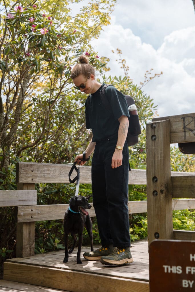 Elopement with dogs