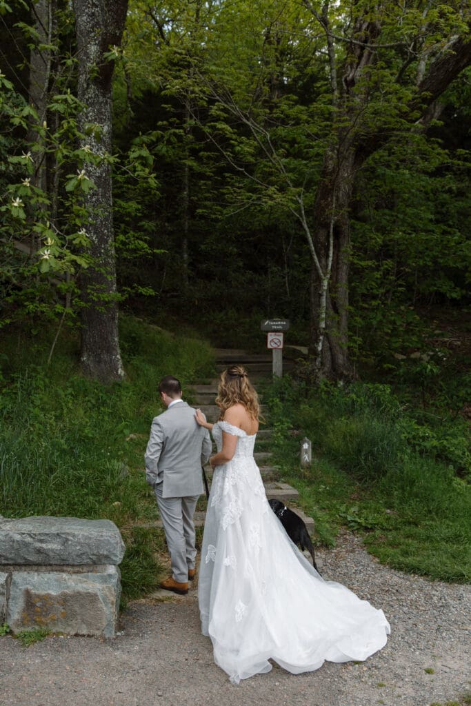 Blue Ridge Parkway Elopement